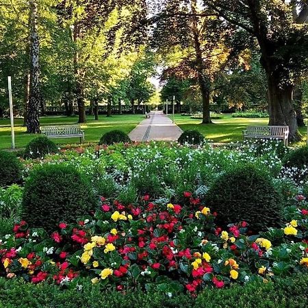 Pension An Den Weinbergen Bad Schmiedeberg Kültér fotó